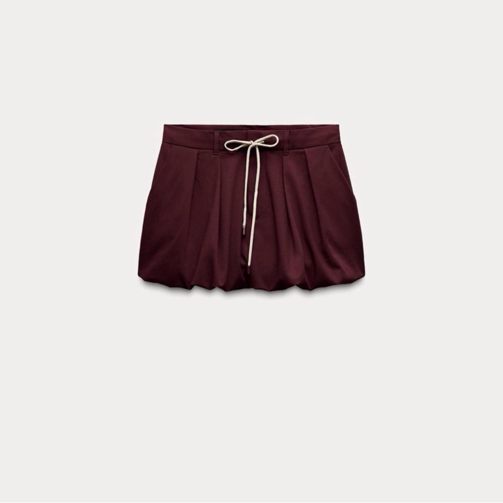 Zara Wine Pleated Mini Skirt